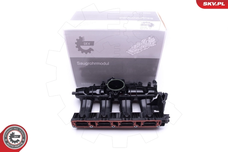Intake Manifold Module